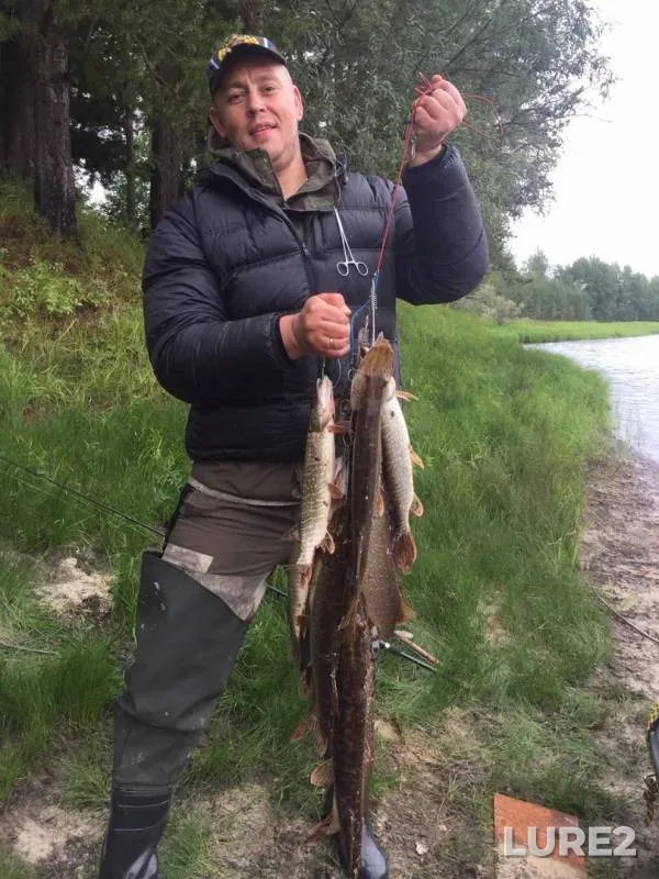 Pike — Lasyogan, Aug 26, 2019