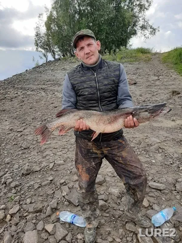 Ide, Pike — Yuganskaya Ob, Sep 03, 2019