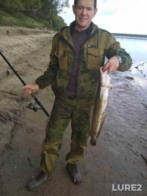 Burbot — protoka Utoplaya, Sep 05, 2019