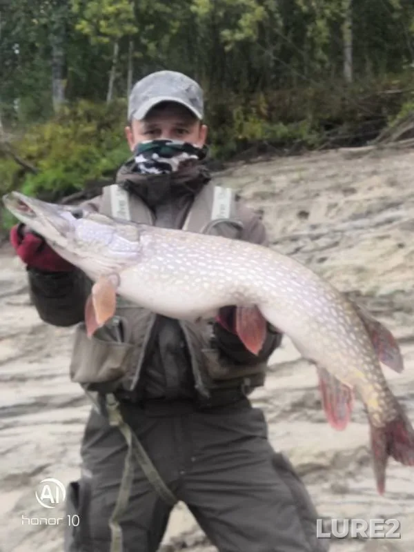 Pike — Khanty-Mansiyskiy avtonomnyy okrug — Yugra, Nefteyuganskiy rayon, Sep 08, 2019