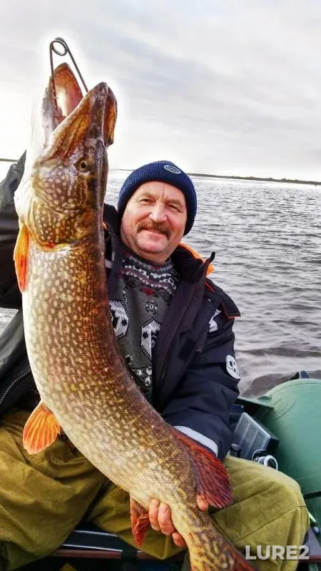 Pike — Ob, Oct 07, 2019