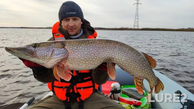 Pike — Ob, Oct 10, 2019