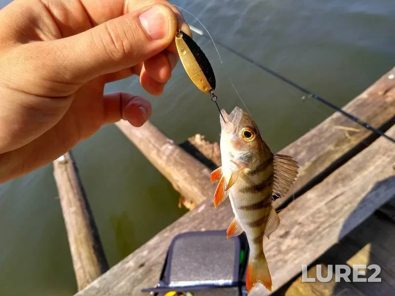 Perch — Chernіgіvska oblast, Apr 30, 2017
