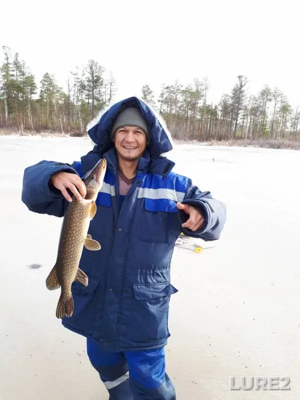 Pike — Ontyrlor, Oct 27, 2019