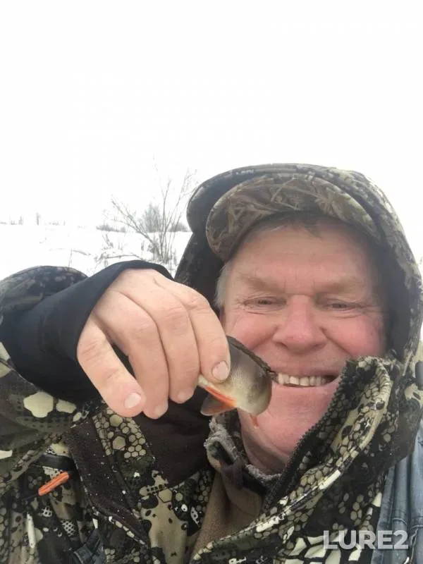 Perch — Vaga, Nov 07, 2019