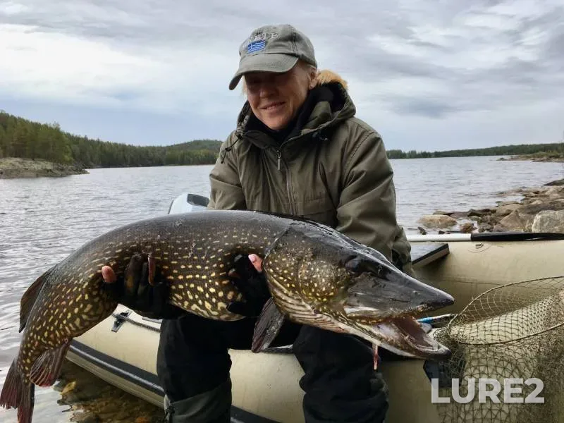 Pike — Kovdozero, Jun 10, 2019