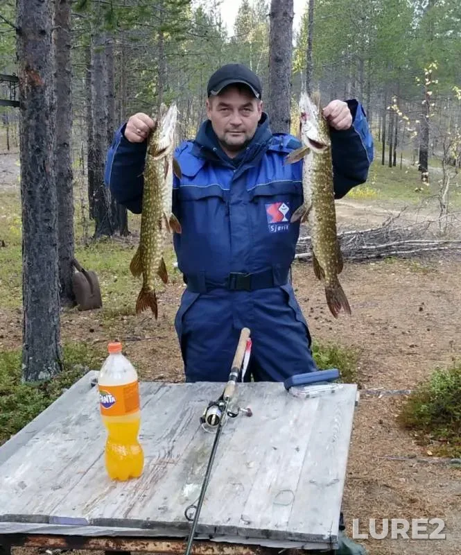 Pike — Murmanskaya oblast, Kolskiy rayon, Sep 25, 2019