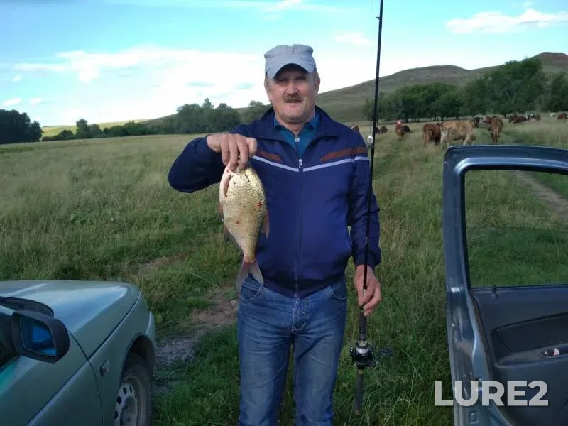 Bream — Ik, Aug 15, 2018