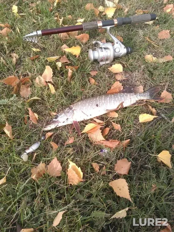 Pike — Urus, Oct 17, 2018