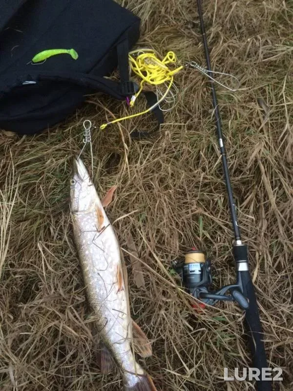 Pike — Dymka, Nov 02, 2018