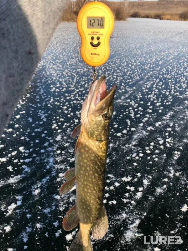 Pike — Ik, Nov 13, 2018