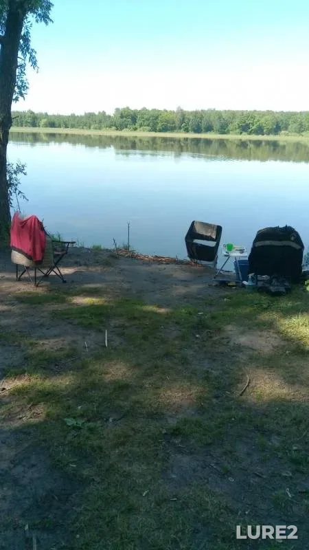 Bream — Volga, Jun 24, 2018