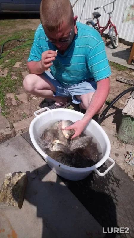 Crucian carp — Respublika Bashkortostan, May 10, 2019