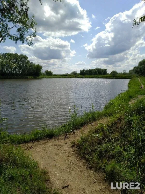 Crucian carp, Perch — Krym-Sarayevo, Jul 08, 2019