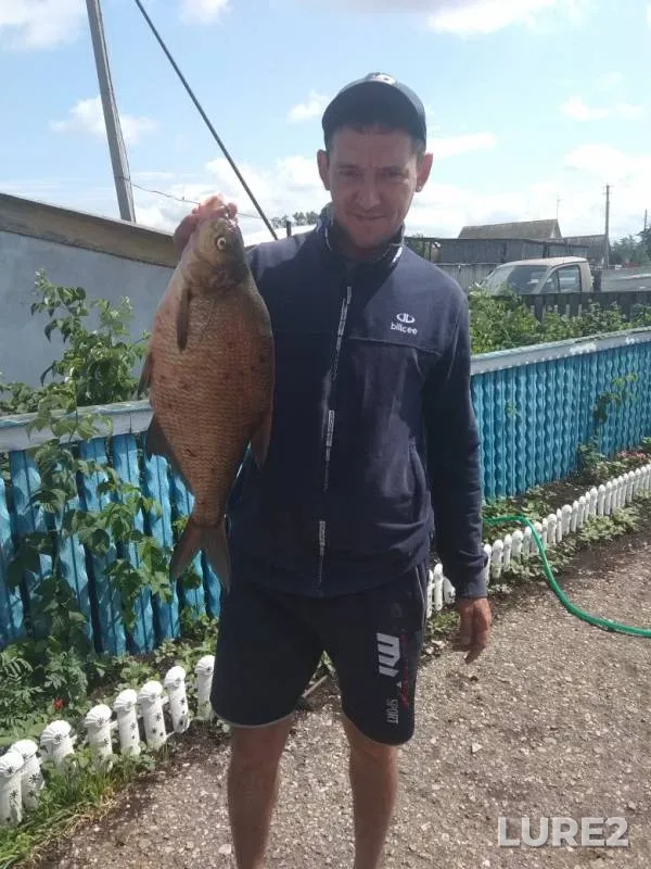 Bream — Ik, Jul 10, 2019