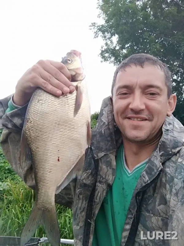 Bream — Ik, Jul 12, 2019
