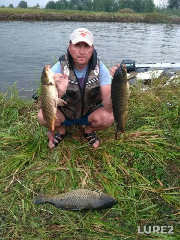 Carp — Sheshma, Aug 16, 2019