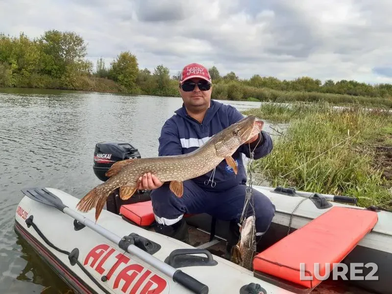 Pike — Ik, Sep 03, 2019