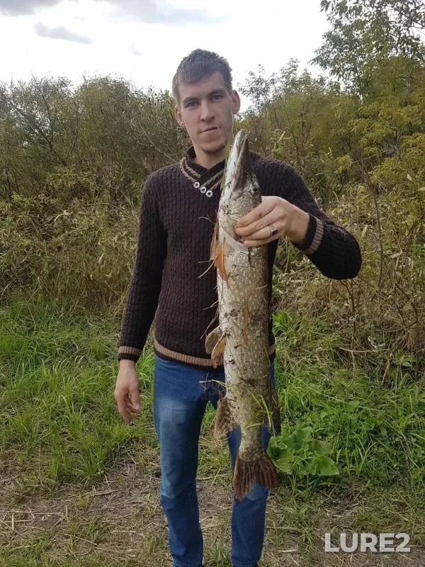 Pike — Ik, Sep 08, 2019