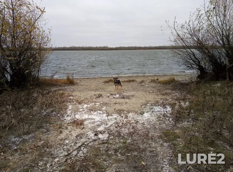 Pike — Volga, Nov 12, 2018