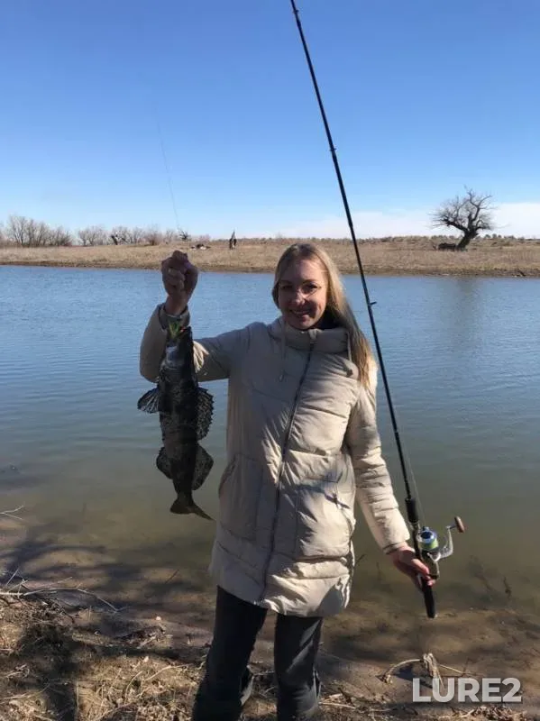 Crucian carp, Zander — Rycha, Mar 14, 2019