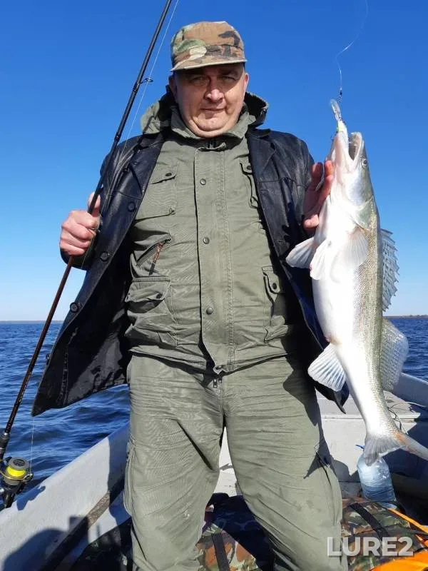 Zander — Astrakhanskaya oblast, Yenotayevskiy rayon, Apr 11, 2019
