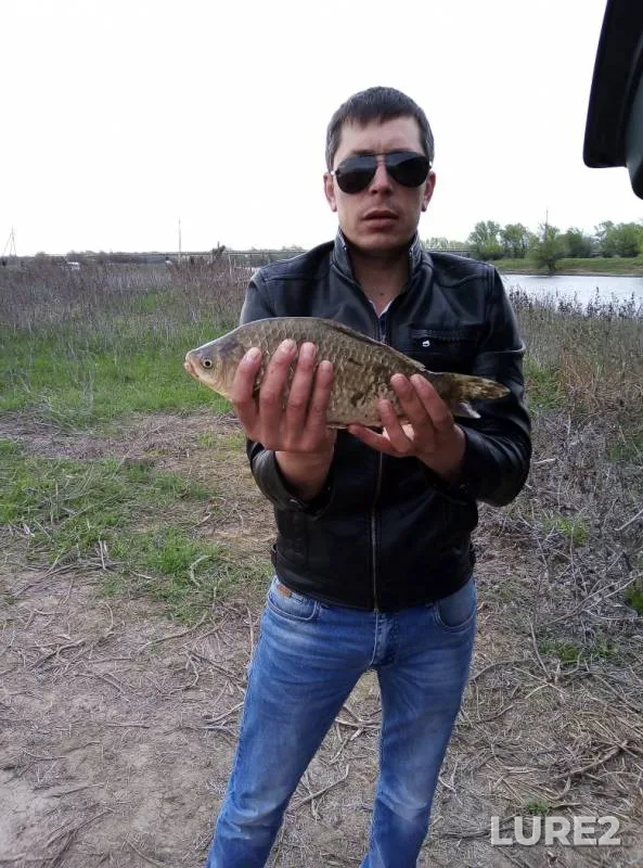 Crucian carp — yerik Rycha, Apr 16, 2019