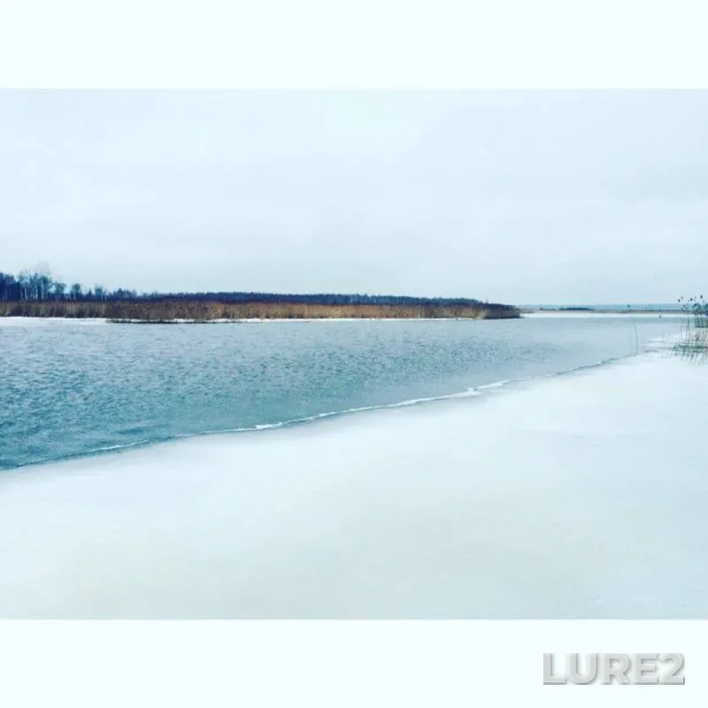 Bream, Roach — Selizharovka, Feb 01, 2016
