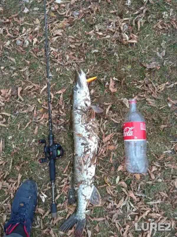 Pike — Ik, Oct 20, 2019