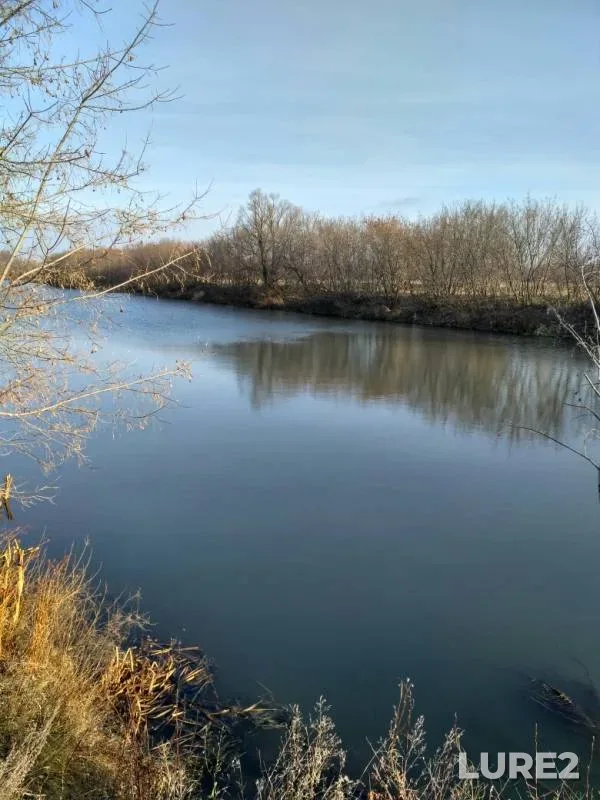 Pike — Ik, Nov 16, 2019