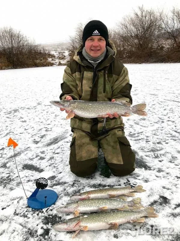 Pike — Ik, Nov 25, 2019