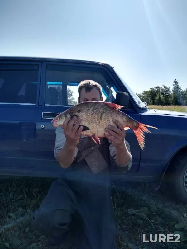 Bream — Shelyugino, Aug 09, 2019