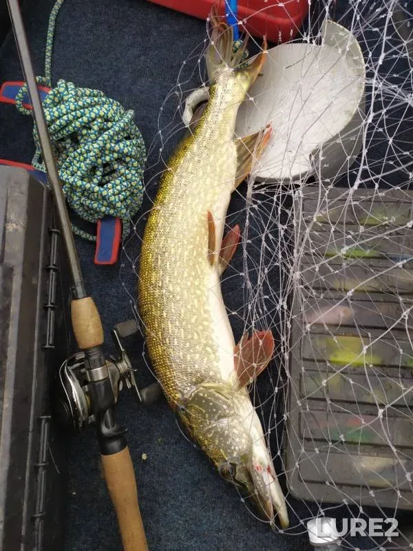 Pike — Sugoyak, Aug 14, 2019