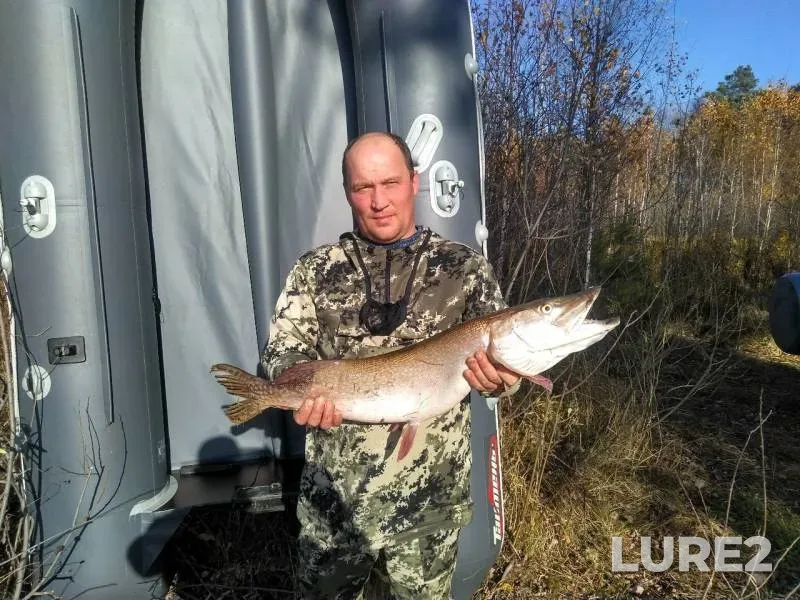 Pike — Tyumenskaya oblast, Tobolskiy rayon, Oct 09, 2019