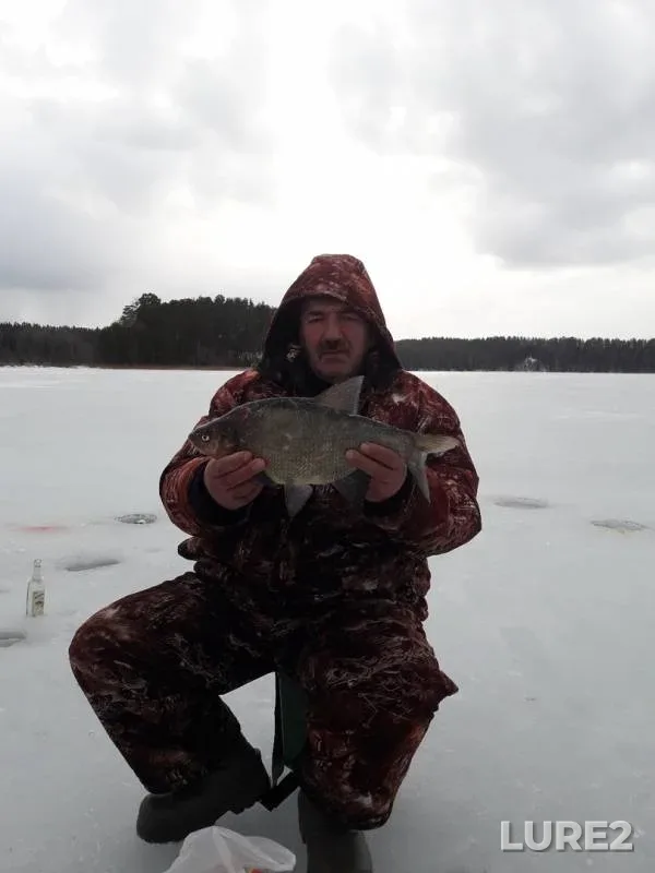 Bream — Sapsho, Mar 10, 2019