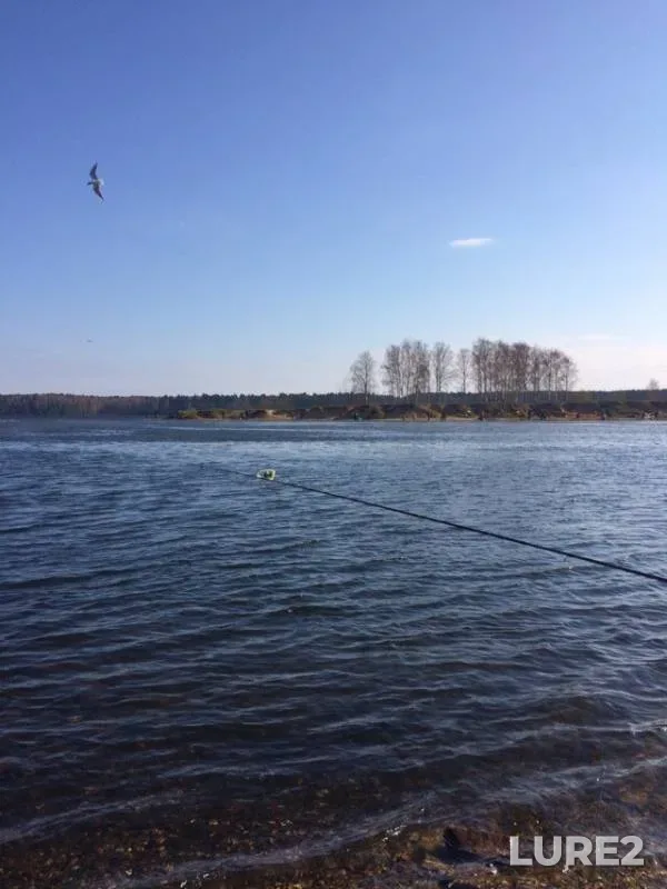 Crucian carp — Desna, Apr 14, 2019