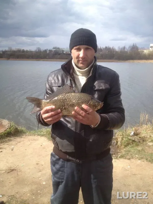 Crucian carp — Dresna, Apr 15, 2019