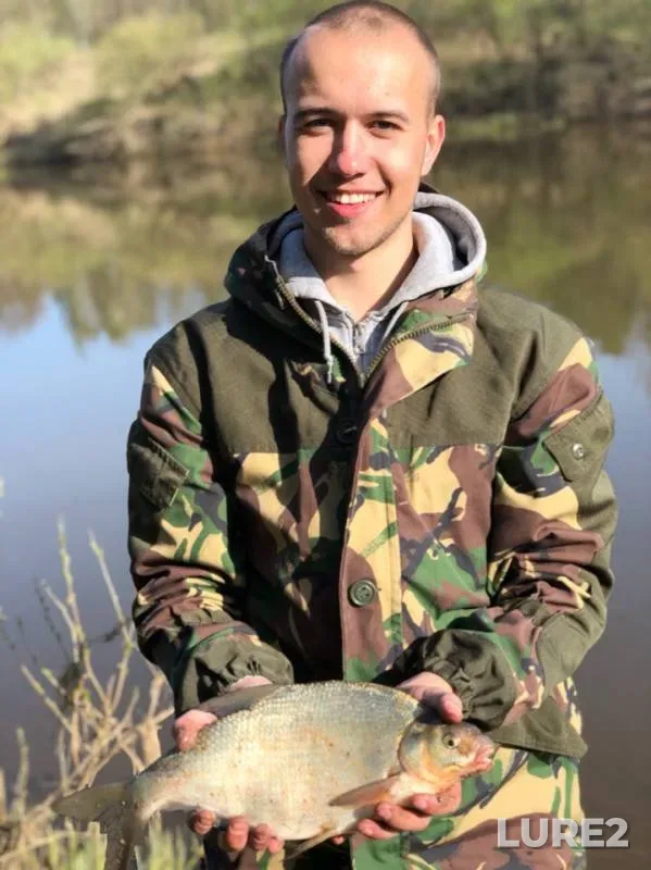 Bream — Smolenskaya oblast, May 02, 2019