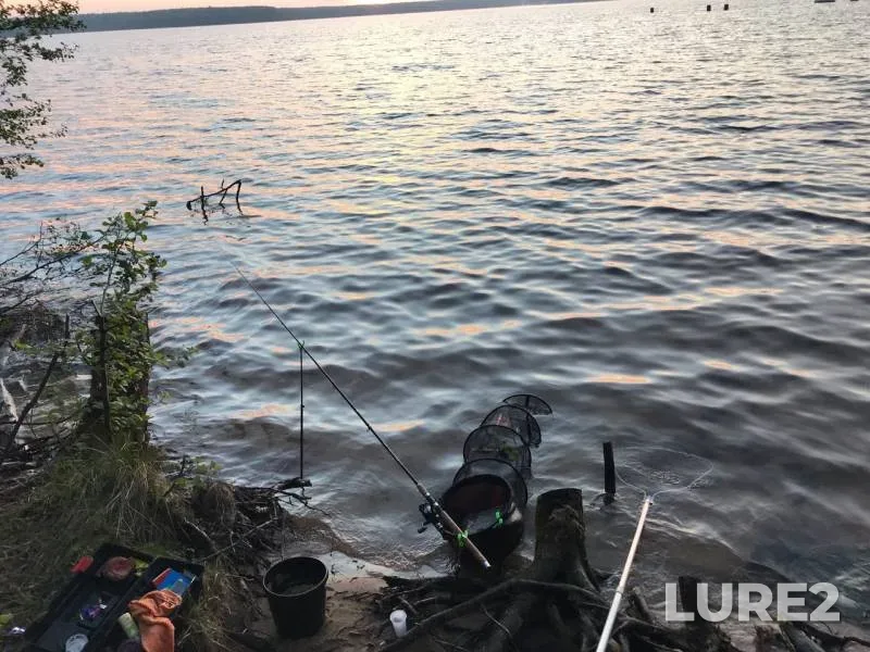 Bream, Perch — Desna, May 08, 2019