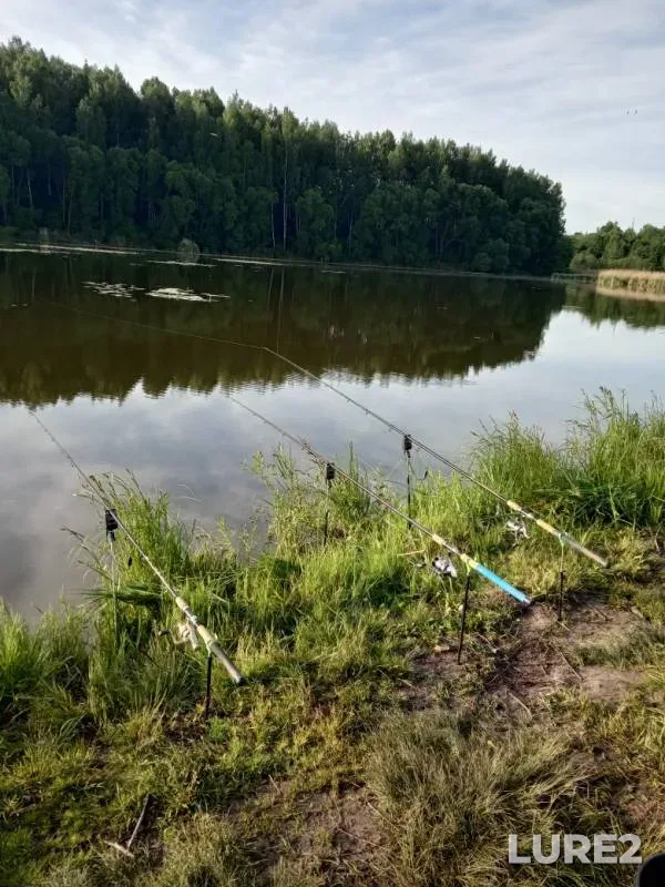 Carp — Berezinka, Jun 02, 2019