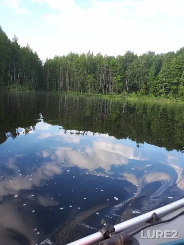 Pike — Desnogorskoye, Jun 02, 2019