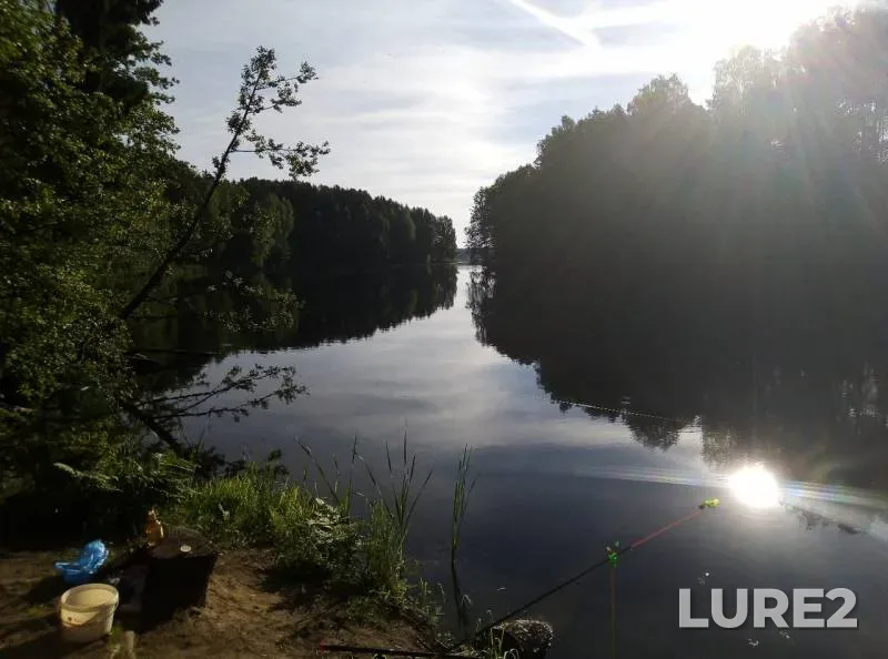 Bream — Desnogorskoye, Jun 03, 2019