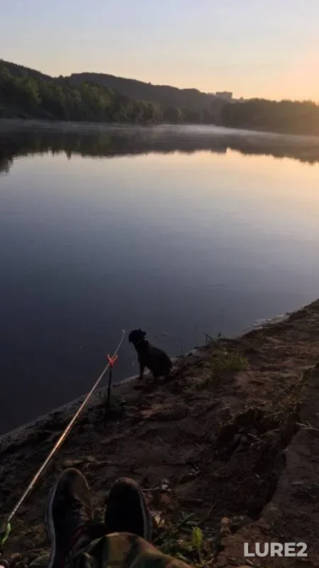 Bream — Klovka, Jun 06, 2019