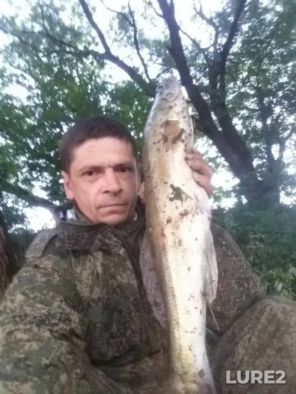 Zander — Klovka, Jun 24, 2019