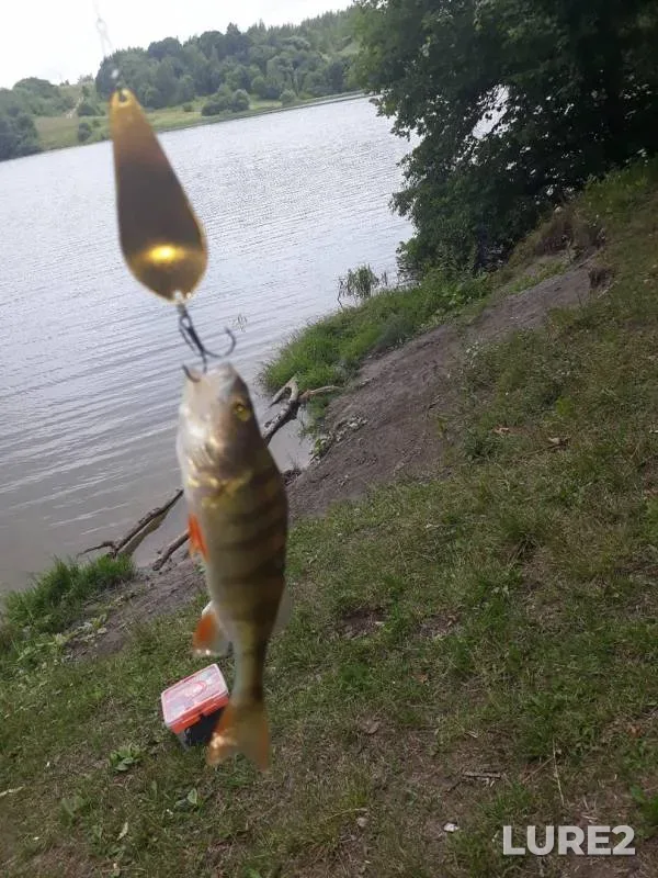 Perch — Aleksandrovskiy, Jul 09, 2019