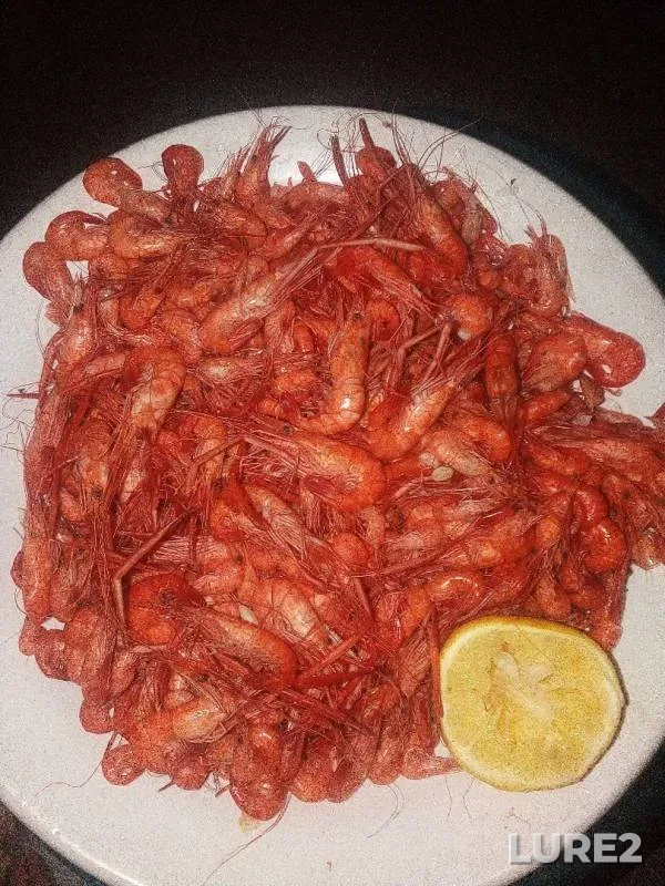 Bream, Roach — Desna, Oct 24, 2019
