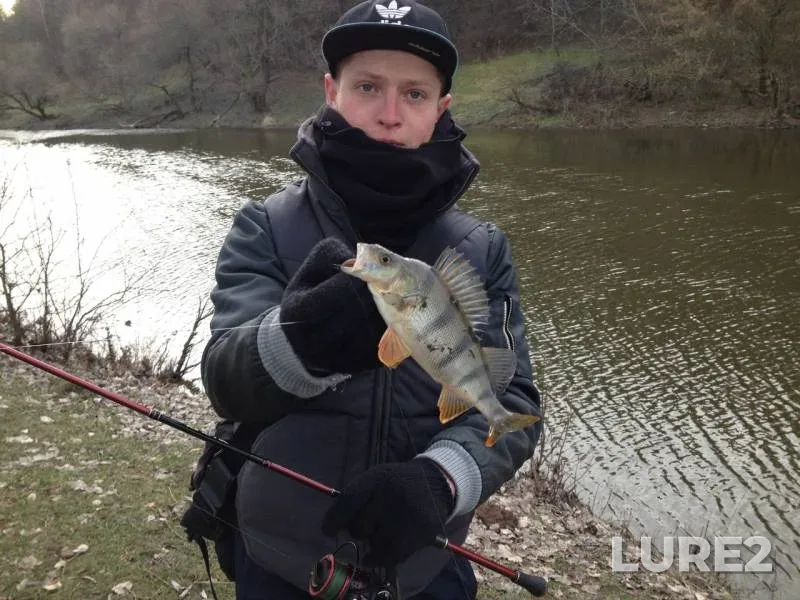 Perch — Yuzhnyy Bug, Dec 18, 2015