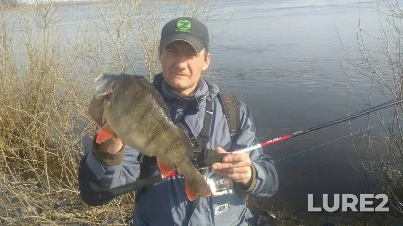 Perch — Dnepr, Apr 04, 2017