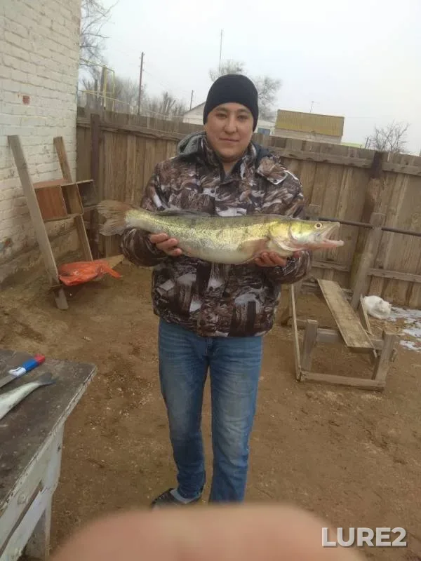 Zander — Mazna-Khak, Jan 15, 2019