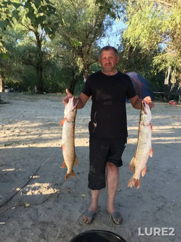 Pike — Akhtuba, Jan 20, 2019